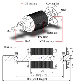 Fig. 1