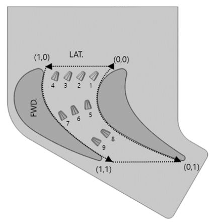 Fig. 6