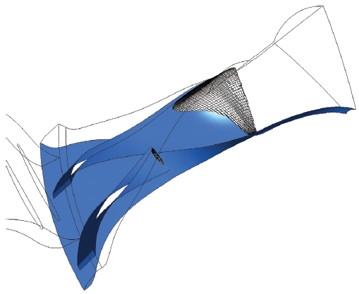 Fig. 10