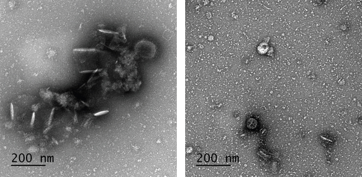 Fig. 11